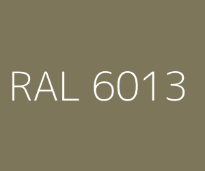 Покраска радиатора в цвет: RAL 6013 Тростниково-зелёный